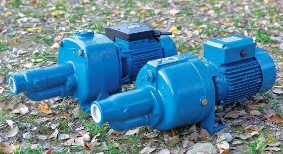 Mini Electric Water Pump Vortex-Edelstahl Jet Pump High Pressure