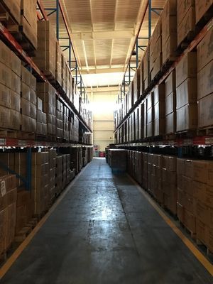 Tragbare Elektrowerkzeug-drahtloses Gebläse